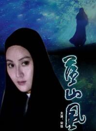 刘新(中国内地男导演)