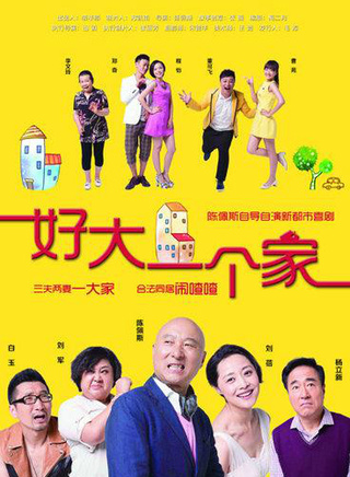 程怡(中国内地女演员、歌手)