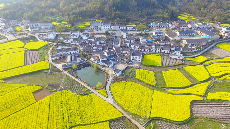 七都镇(福建宁德市蕉城区七都镇)