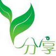 网站建设方案