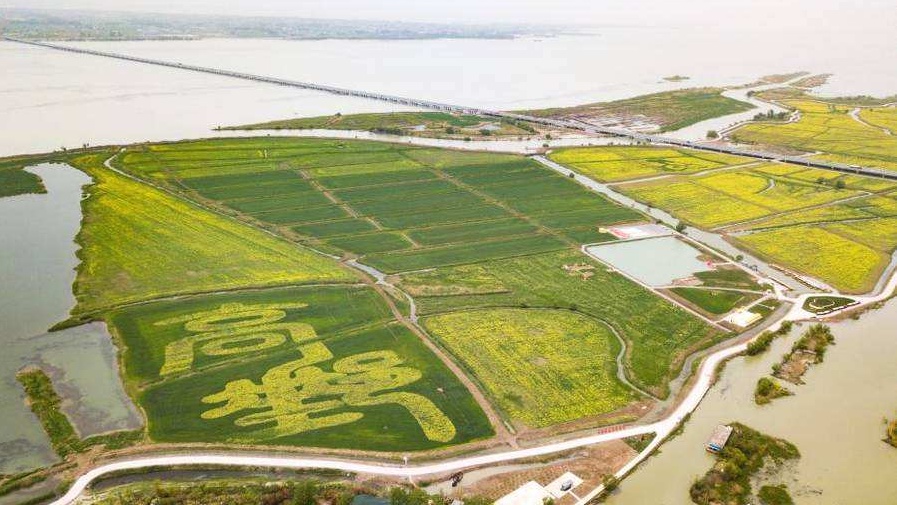 高邮湖滩郊野公园 高邮湖滩郊野公园