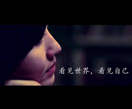 看见(柴静着书) 看见(柴静着书)