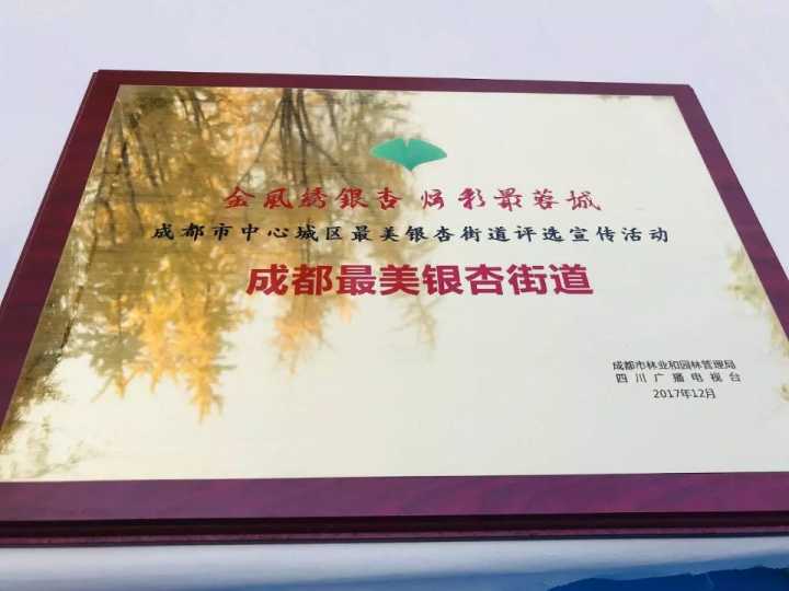 2017年华阳街办荣获“成都市最美街道”称号