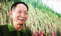 维基祝寿 维基祝寿