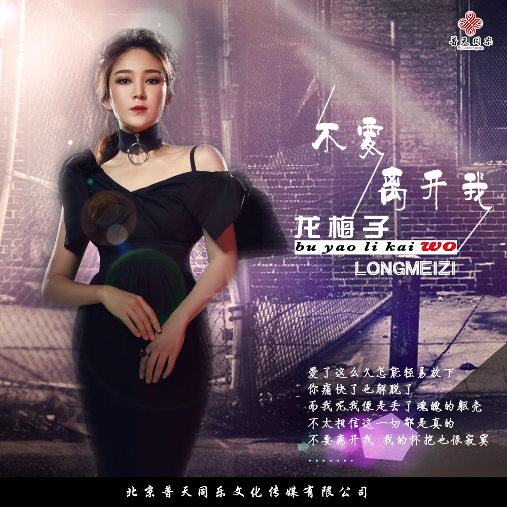 不要离开我(龙梅子演唱歌曲)