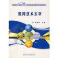 组网技术实训教程