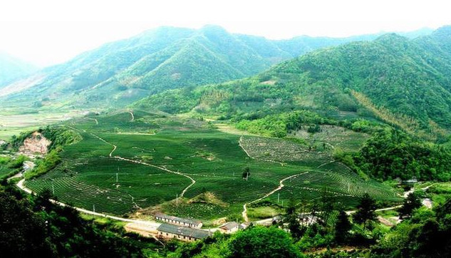 百花寨省级森林公园