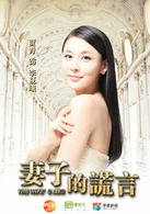 妻子的谎言(贾青、张晓龙主演电视剧)