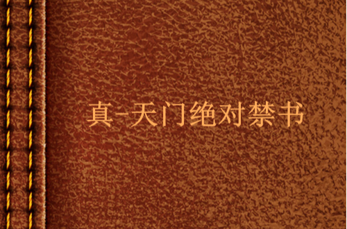 真-天门绝对禁书