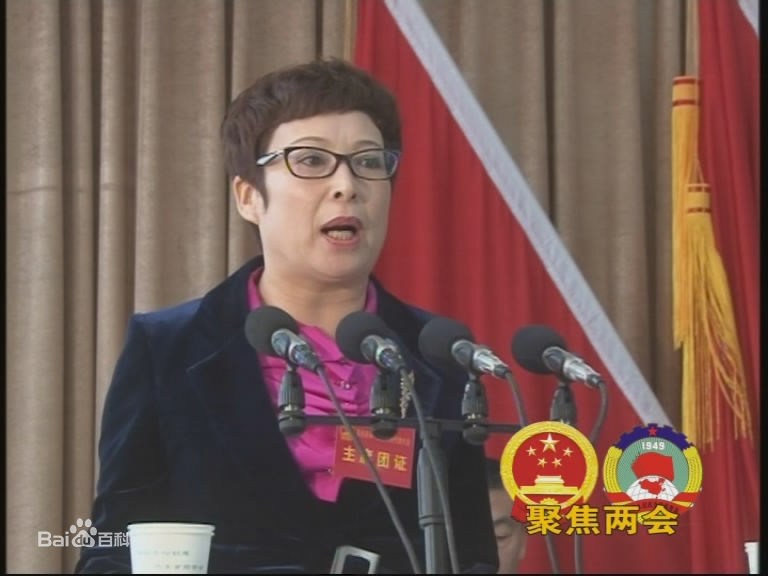 2016年高邑县政府工作报告