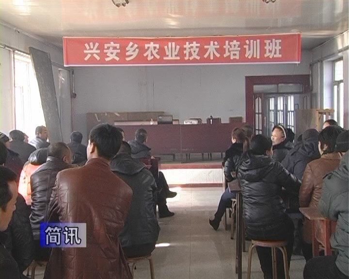 兴安乡(黑龙江省集贤县下辖乡)