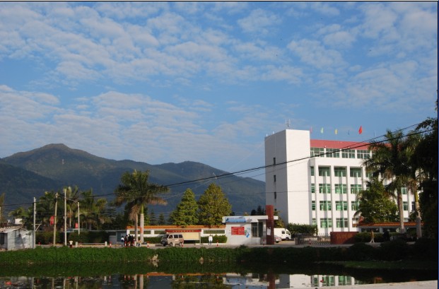 仙洲村 仙洲村