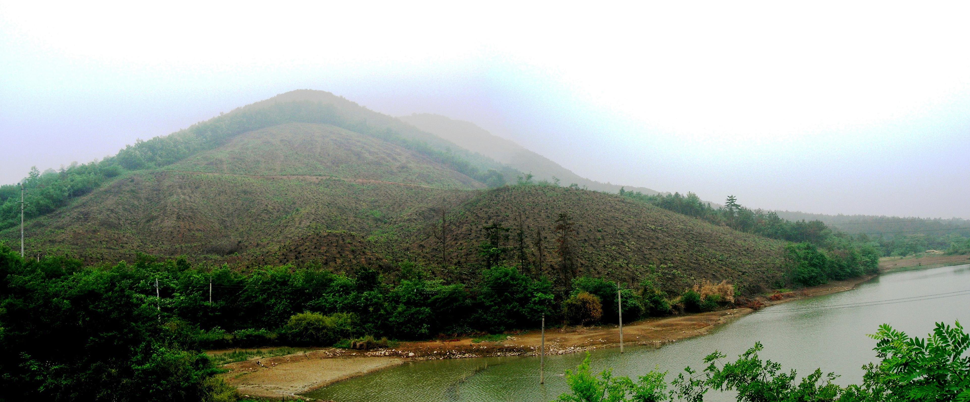 含山县苍山林场 含山县苍山林场