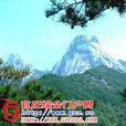 光华村(安徽省潜山县官庄镇光华村)