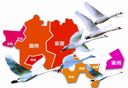黄河三角洲地区 黄河三角洲地区