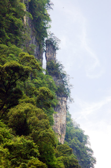 罗坪 峡谷