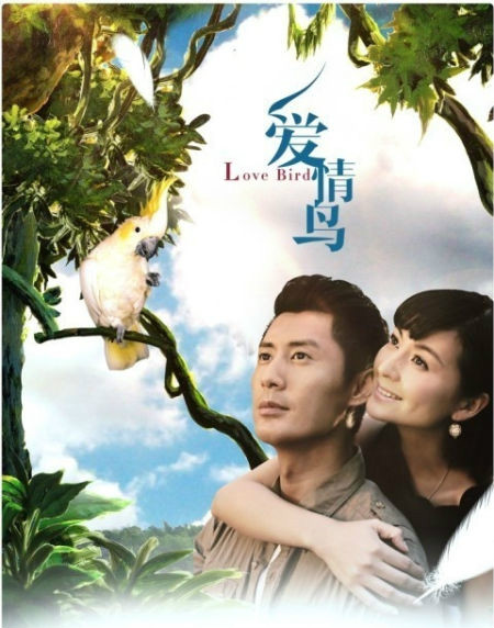 爱情鸟(网路歌曲)