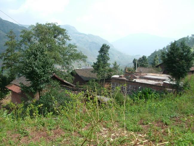 王家寨村(云南宣威市杨柳乡下辖村)
