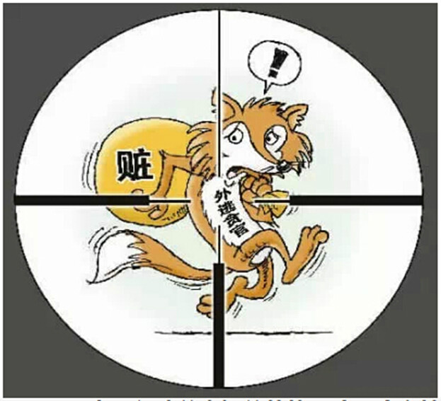 猎狐2014(公安机关专项行动) 猎狐2014(公安机关专项行动)