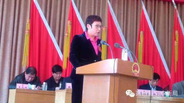 高邑县2015年政府工作报告