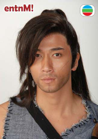 少年四大名捕(2008年林峯主演香港TVB古装武侠电视剧)