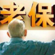 个人养老保险