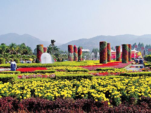 百花村(重庆市大渡口区百花村)