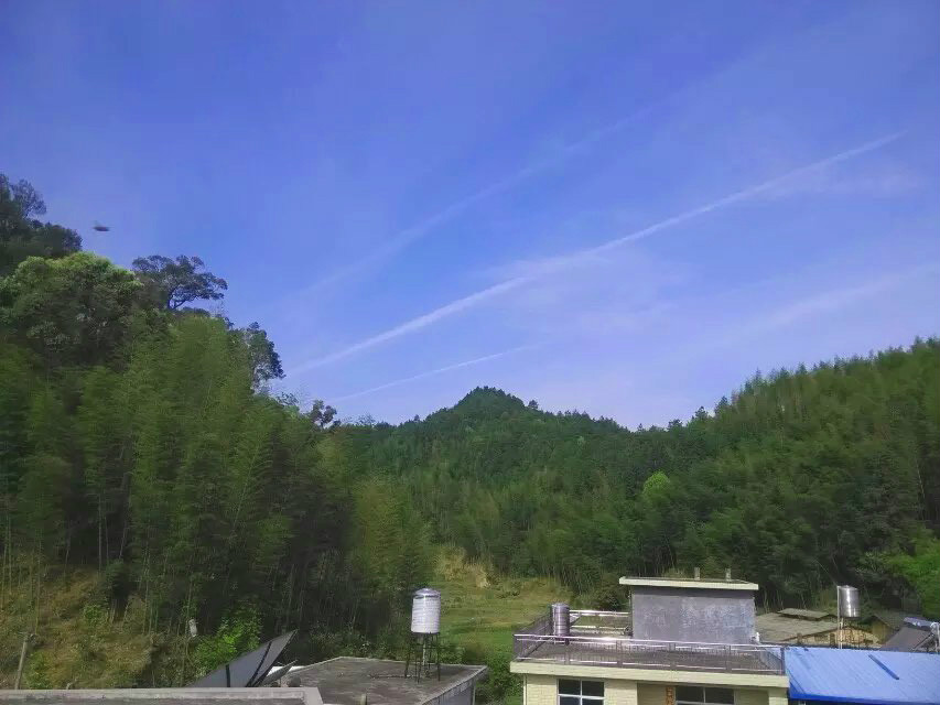 曾经赖以为生的纸槽已无处可觅,竹山仍存 曾经赖以为生的纸槽已无处可觅,竹山仍存