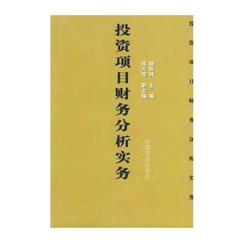 投资项目财务分析实务