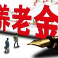 养老金(养老保险待遇)