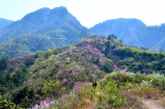 转轮岩