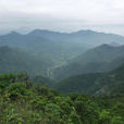 都昌县南山风景区