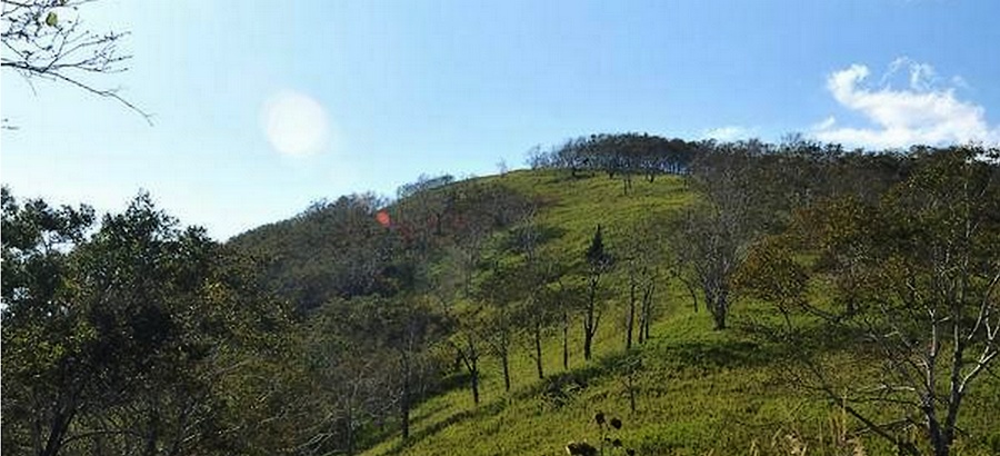 平顶山 平顶山