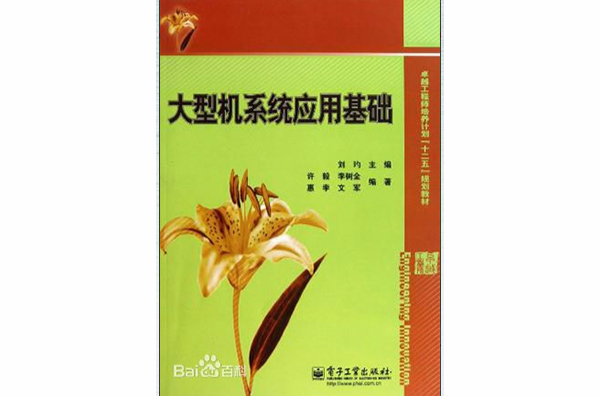 大型机系统套用基础