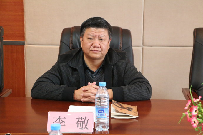 李敬(湖南大学副教授)