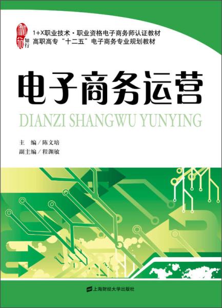 电子商务运营(2013年上海财经大学出版社出版书籍)