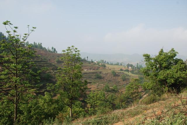 龙塘村(贵州黔东南自治州丹寨县龙塘村)