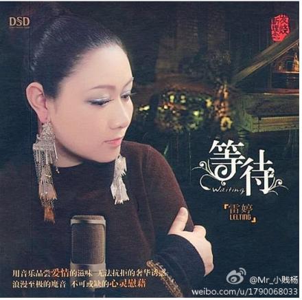 雷婷专辑封面 雷婷专辑封面