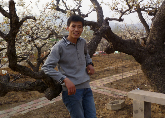 马东慧 马东慧