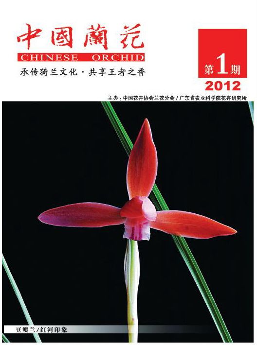 《中国兰花》 《中国兰花》