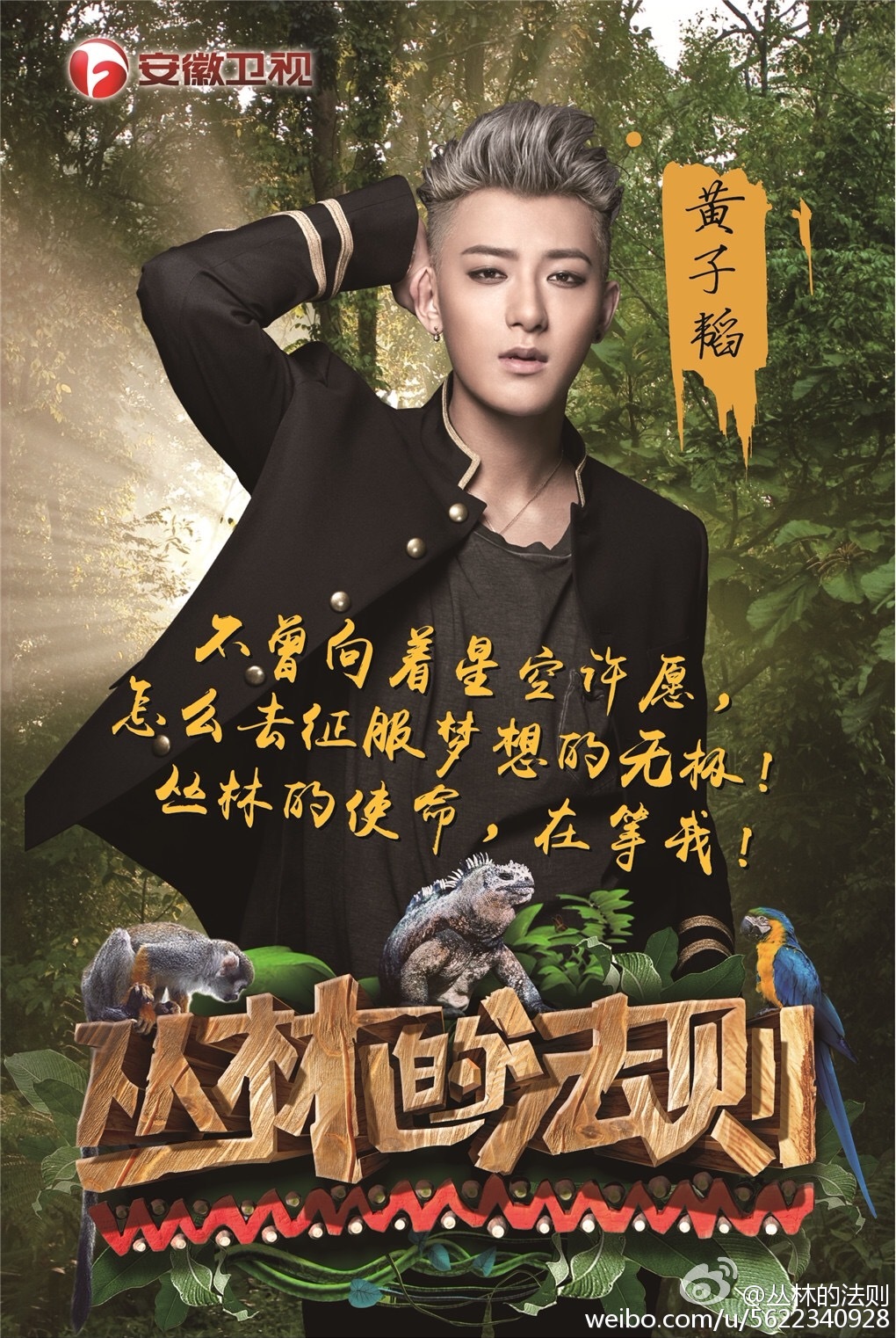 丛林的法则