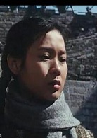 南京1937(1996年秦汉、刘若英主演电影)