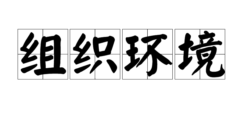 组织环境