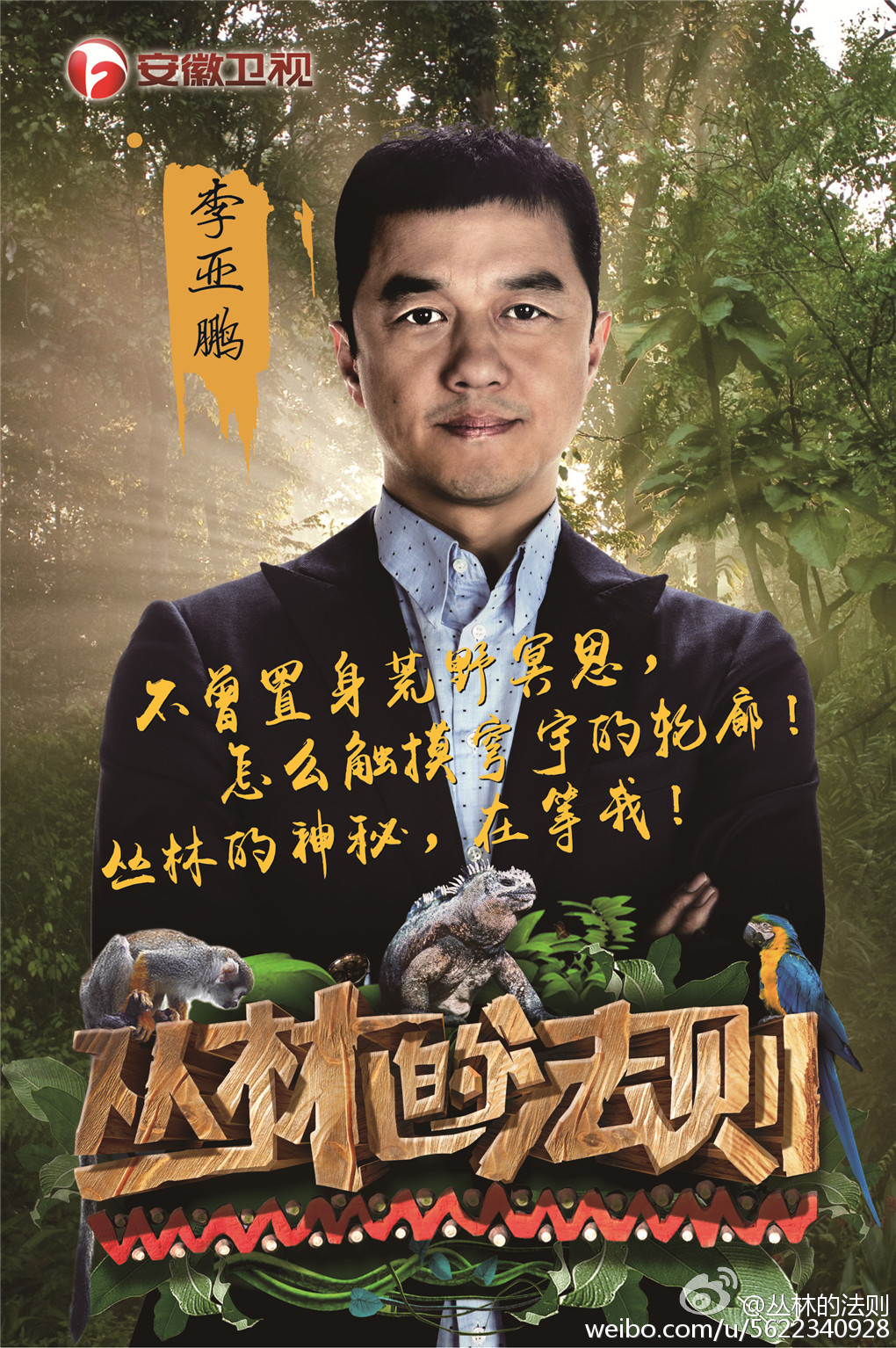 丛林的法则
