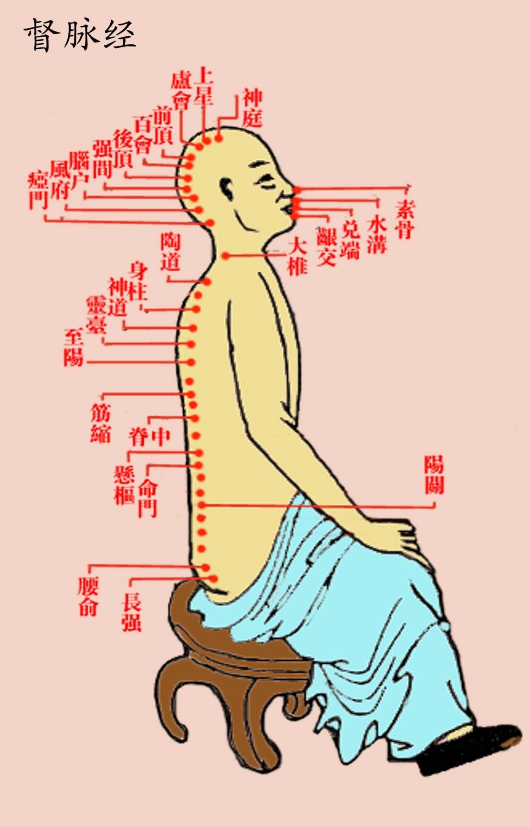 经络(科普知识) 经络(科普知识)