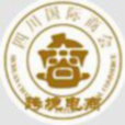 四川国际商会跨境电商技术专业委员会