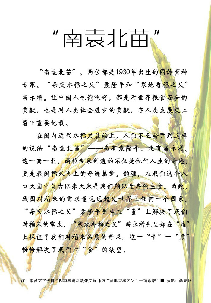南袁北苗