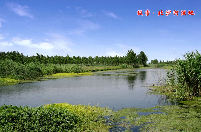 北沙河(北京市河流（温榆河支流）)