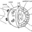 反引力