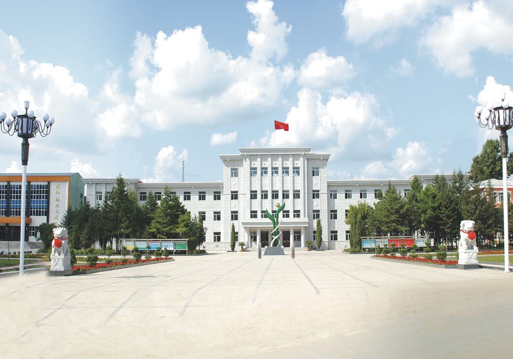 绥阳林业局
